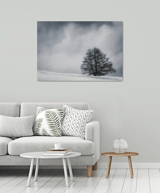 White Italian Scape #9