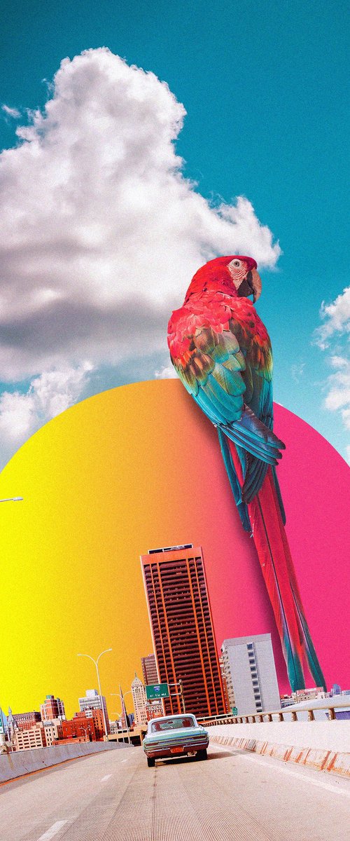 Crazy Feeling by Darius Comi