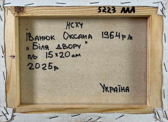 Yard in Sunset Light