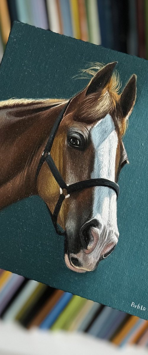 Horse Portrait 25 by Anastasia Parfilo