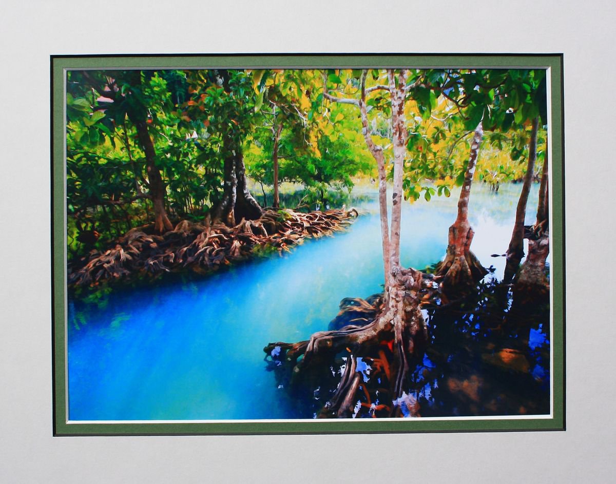 Mangroves, Krabi, Thailand by Robin Clarke