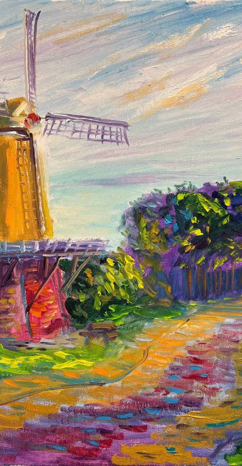 Dutch Windmill De Bente in Dalen by Dmitry Fedorov