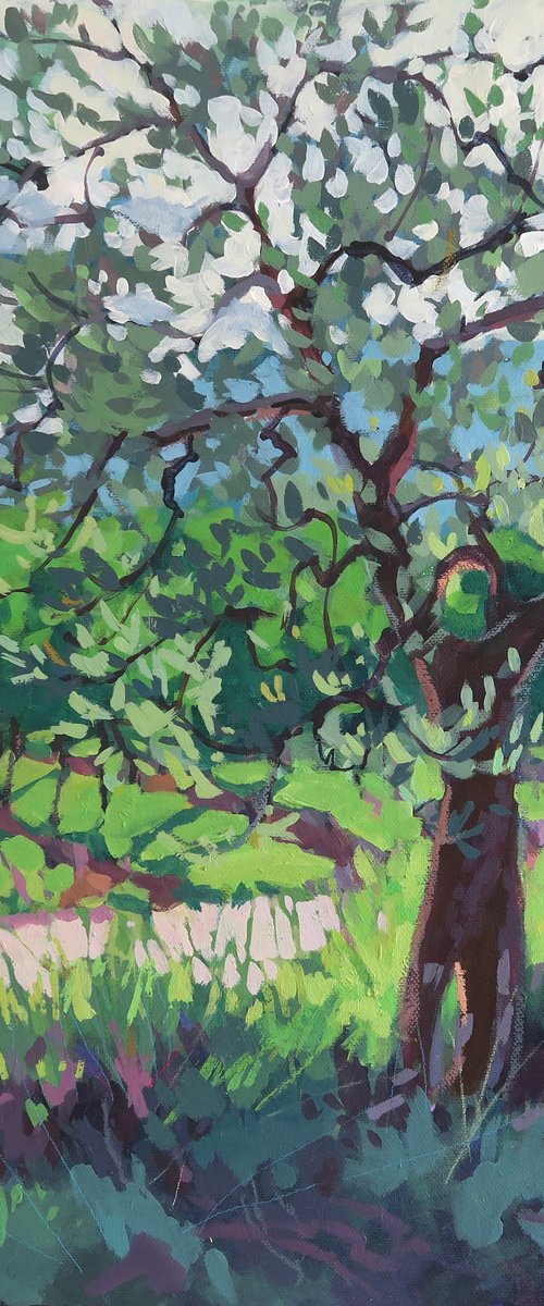 Olive Tree and Vineyard by Diana Davydova