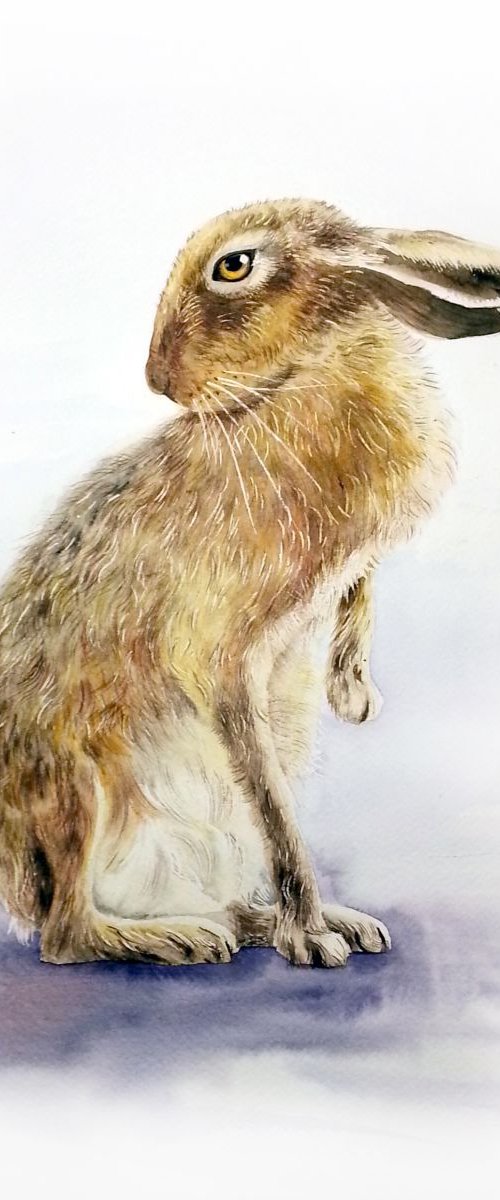 Brown Bunny by Olga Beliaeva Watercolour