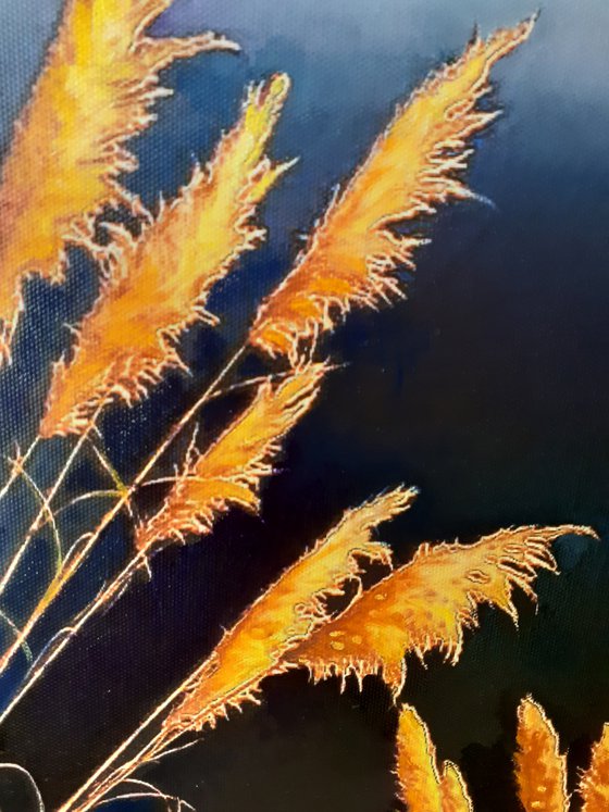 COLOURS OF AUTUMN