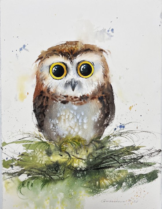 The Curious Owl