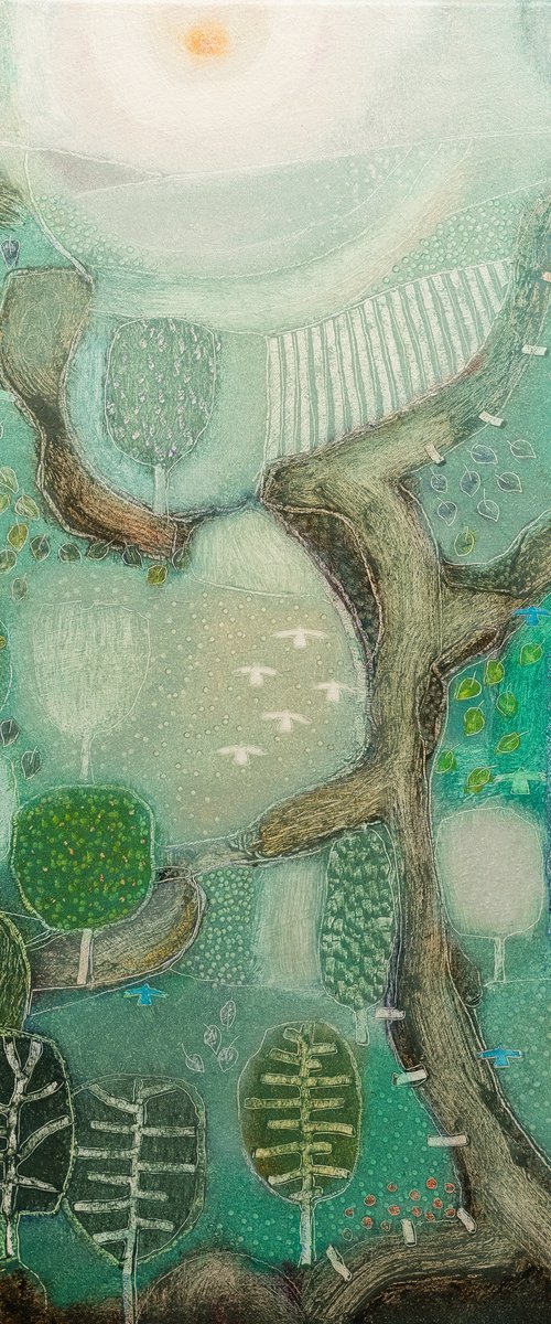 The forest light by Rob   van Hoek