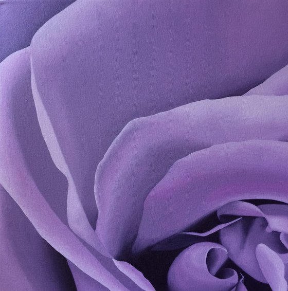 Lilac Rose