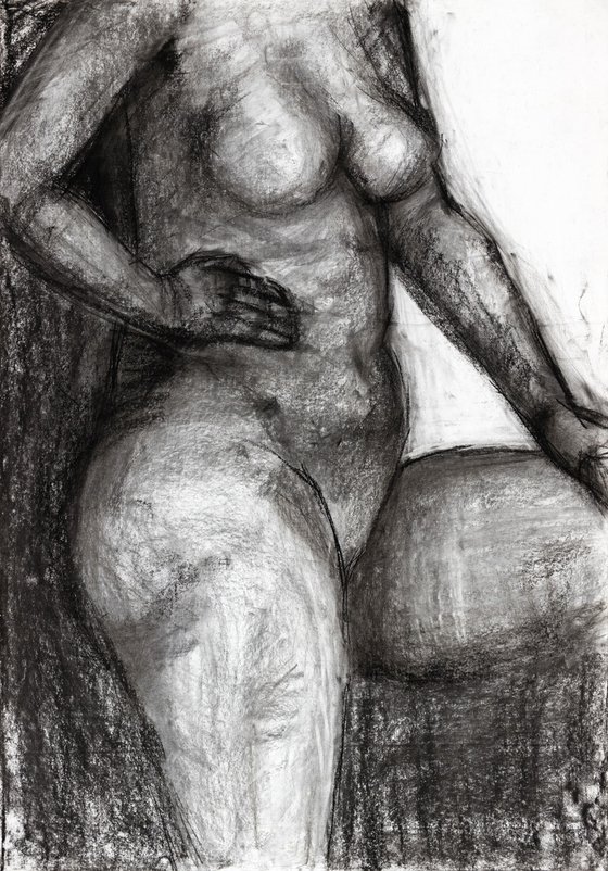 Shapes 5