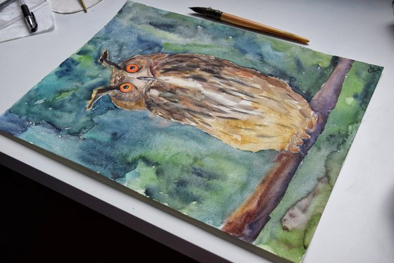 Owl watercolor painting, bird original artwork, nursery wall art