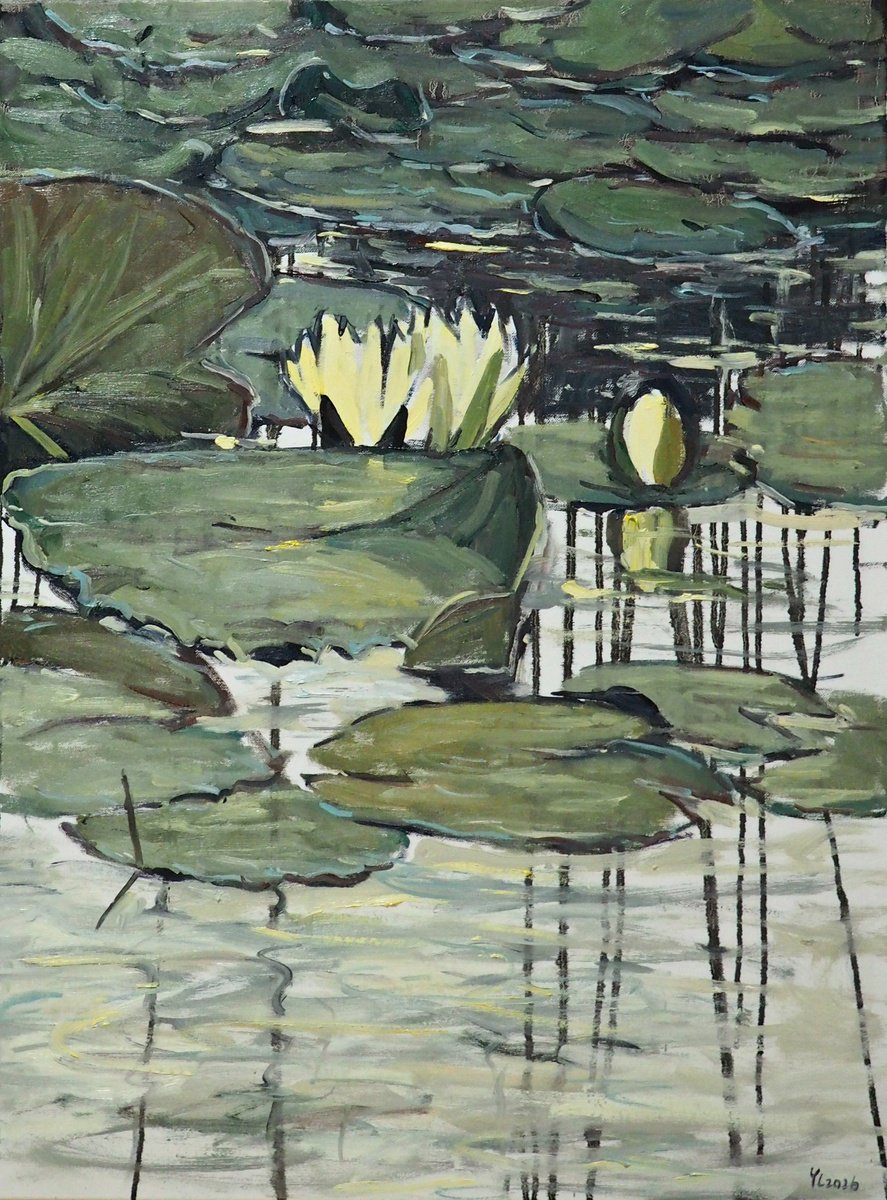 Water Lilies By Yuanyuan Liu, 24 X 31, Artwork For Sale On Artfinder
