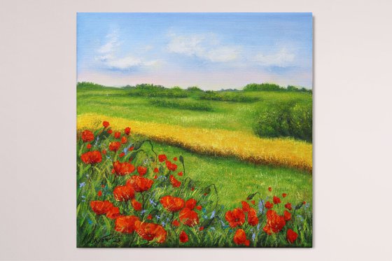 Red poppies field