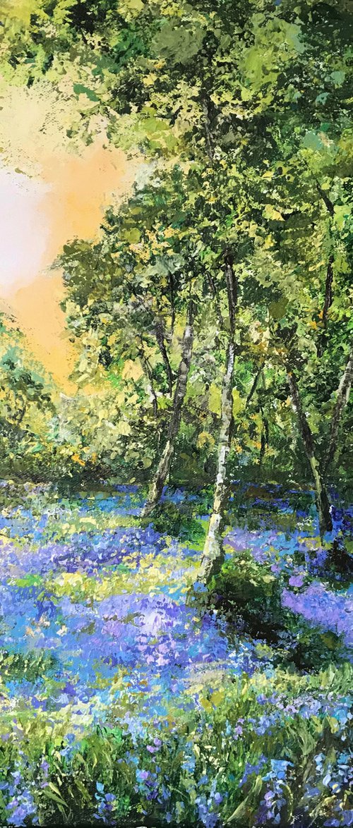 Bluebells by Colette Baumback