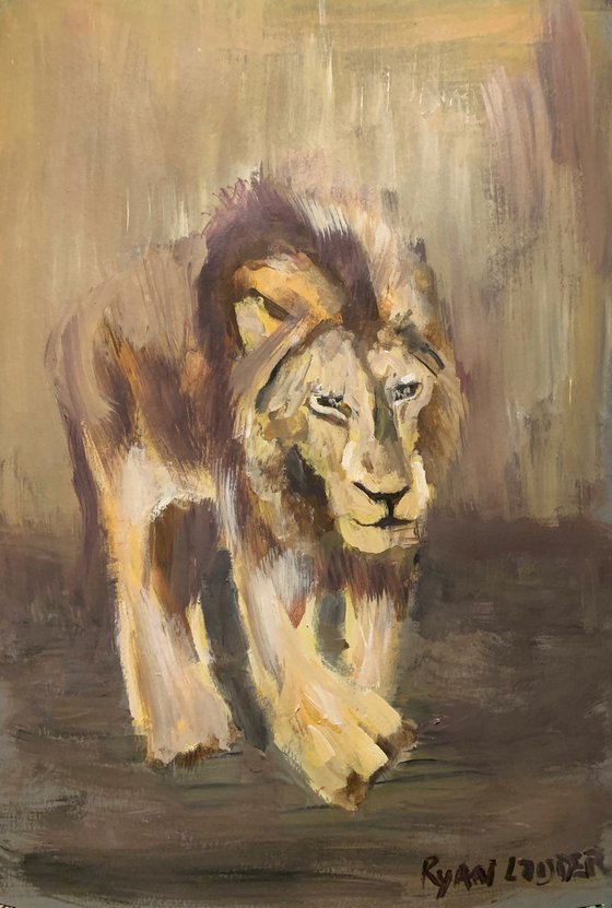 Lion Walking