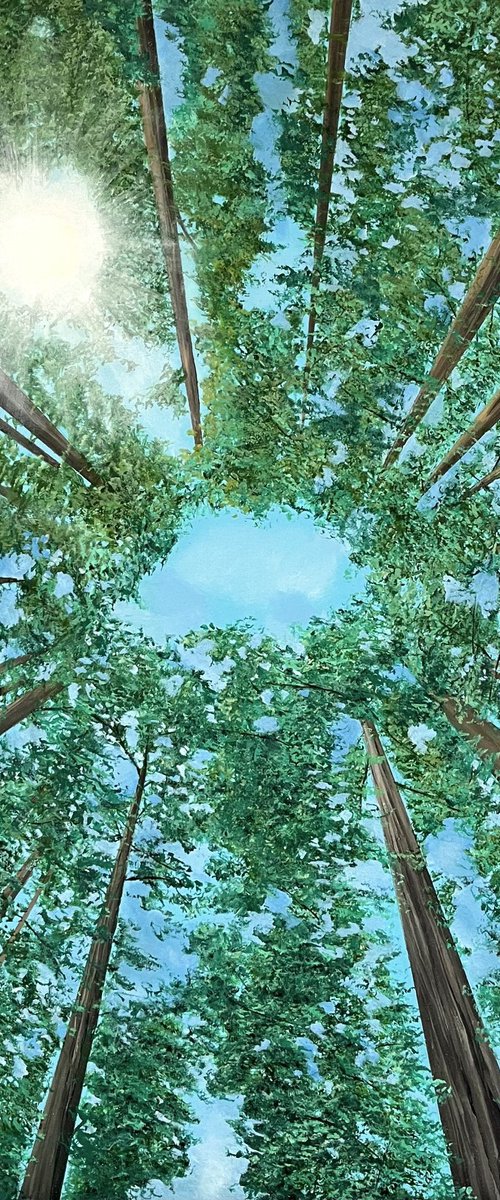 Above by Victoria Obolensky