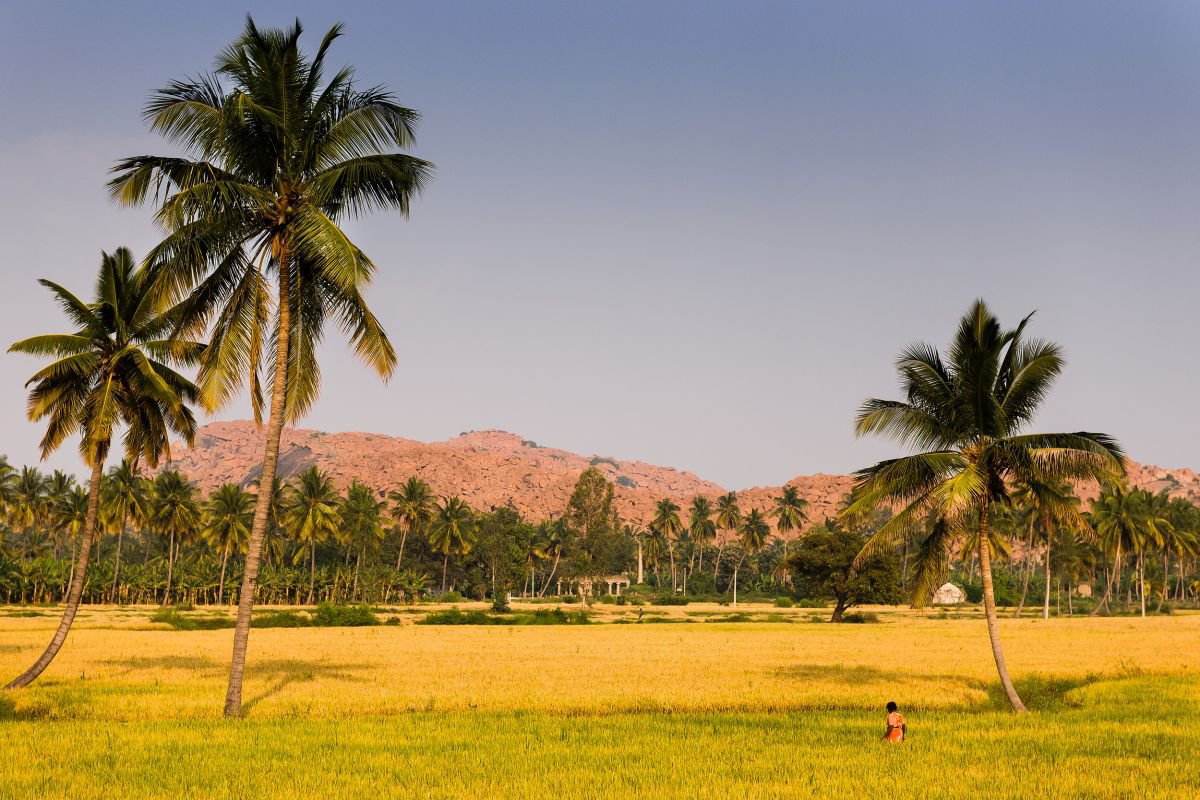 Photorealistic Photograph , Anegundi, India By Tom Hanslien, 80 X 55, Artwork For Sale On Artfinder
