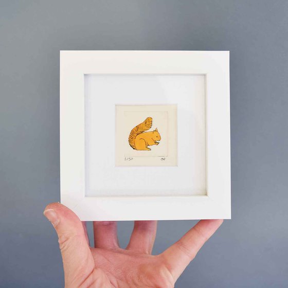 Mini framed red squirrel