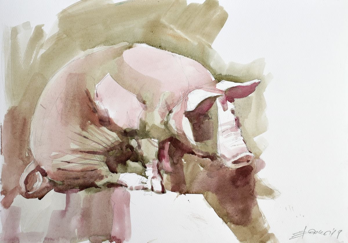 Expressive Animal Watercolour By Goran Zigolic Watercolors, 20 X 14, Ordinary Pig, Original Artwork