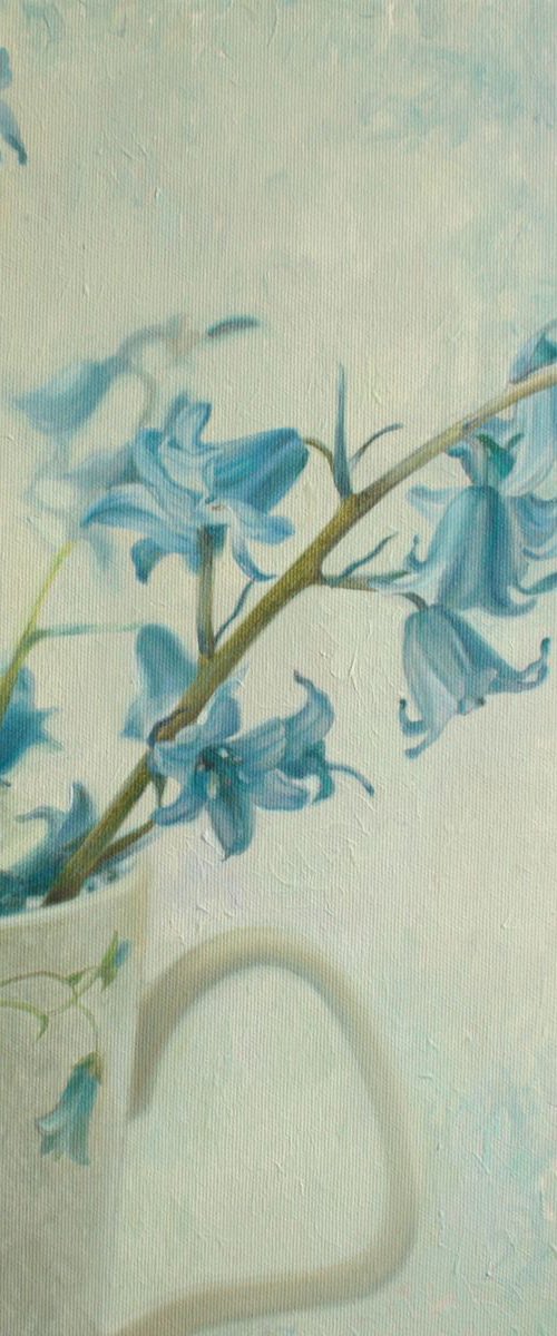 wild hyacinth by Julia Diven