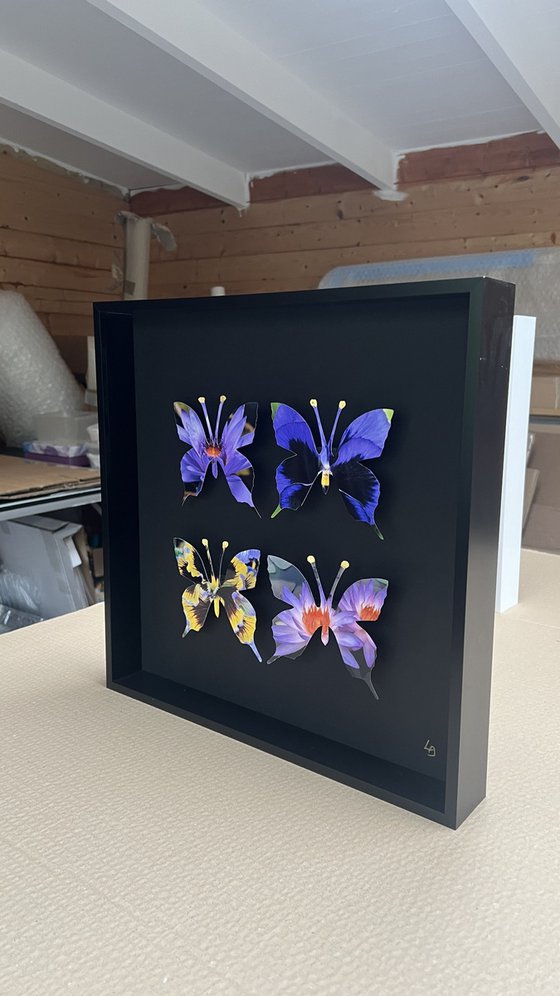 Flower Butterfly Box