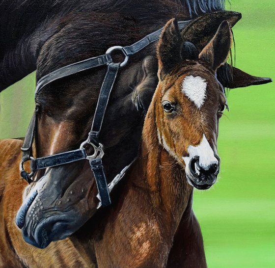 Horse's love /Motherhood 40 X 40 cm (Ready to hang)