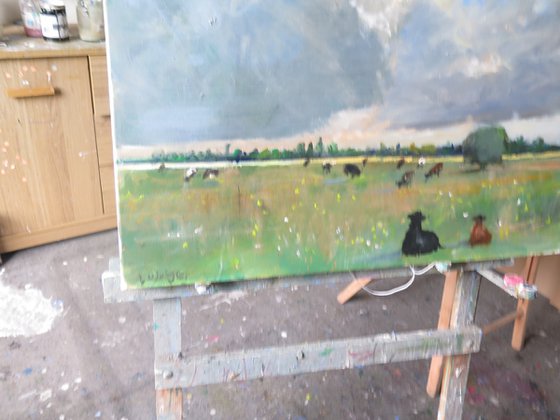 Cow Meadow