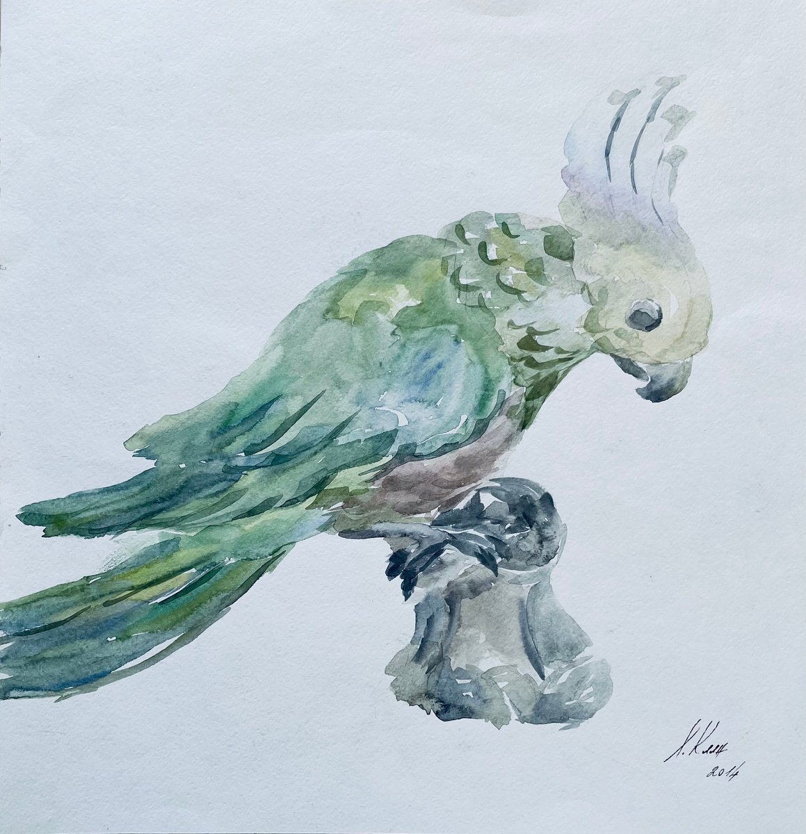 Impressionistic Animal Drawing By Elena Klyan, 13 X 13, Parrot. Original, Original Artwork
