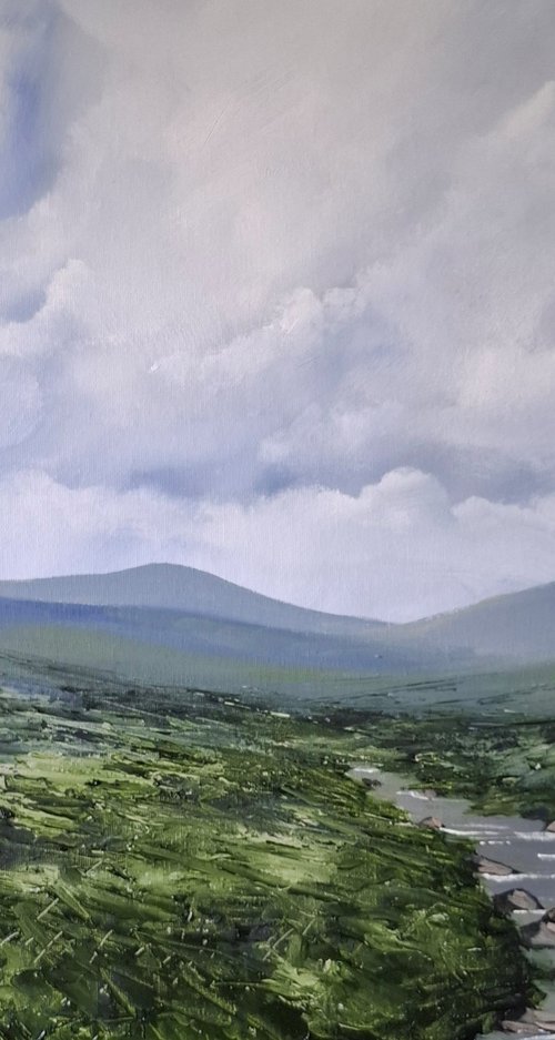 River, Ireland by John Halliday