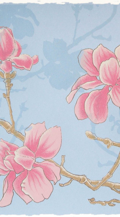 Magnolia by Louise Boulton