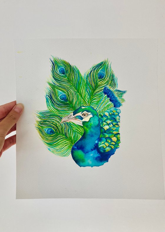 Peacock Watercolour Painting