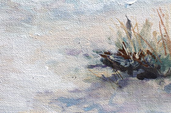 Coastal Escape