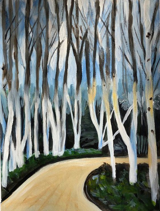 Birch Forest
