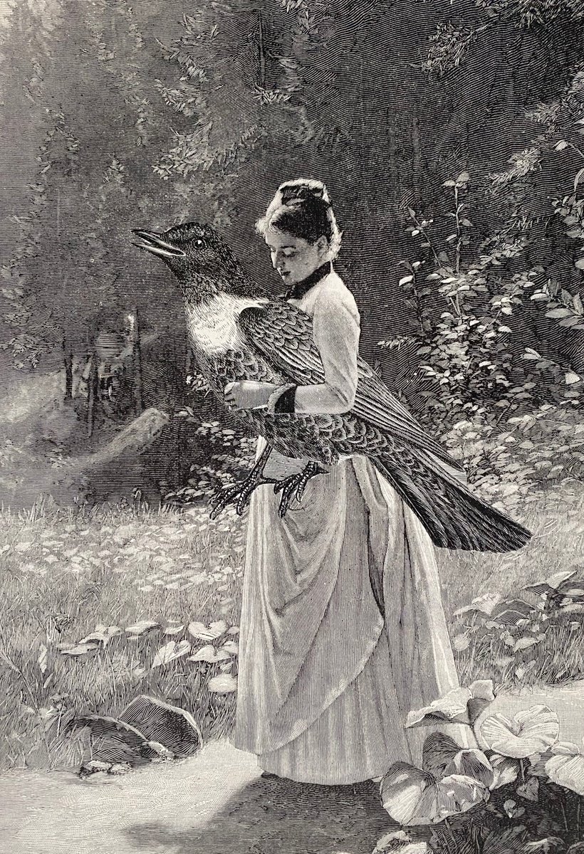 Surrealistic Portrait Collage By Tudor Evans, 6 X 9", Her Best Friend, Original Artwork