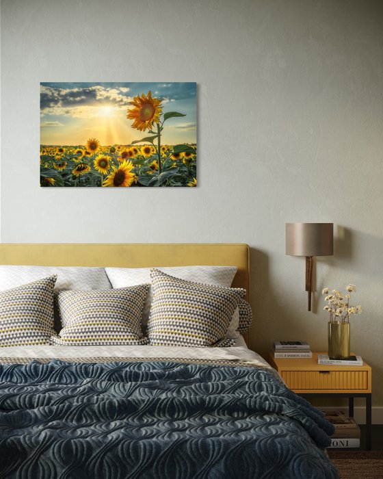 Golden Silence I – Standing in Light