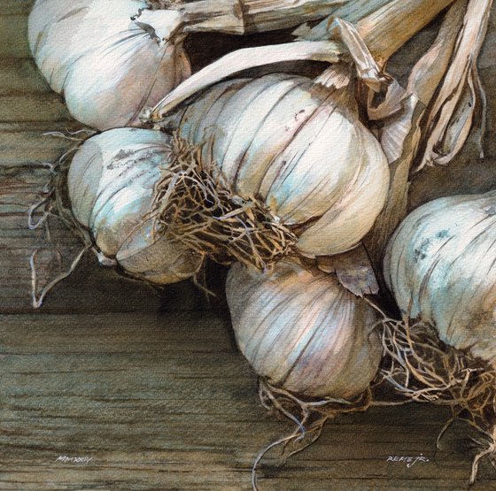 Old Garlic