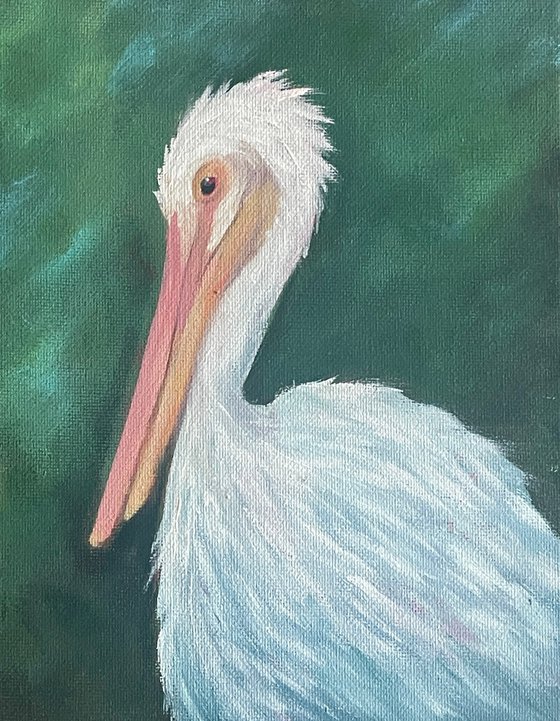 Lola the White Pelican