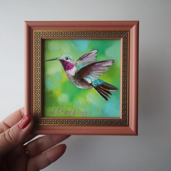 Vibrant Hummingbird