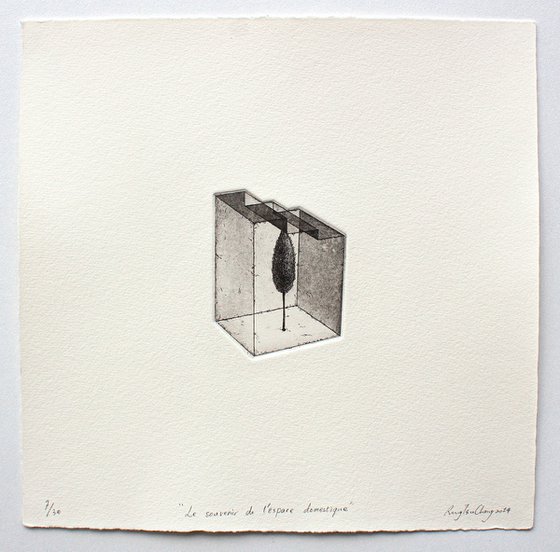 THE MEMORY OF DOMESTIC SPACE