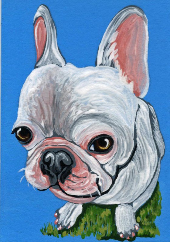 ACEO ATC Original Painting French Bulldog Frenchie Dog Art-Carla Smale