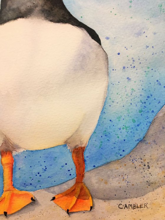 Perky Puffin - Framed Watercolour