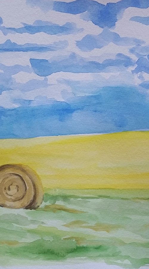 "Canola in Bloom" - Landscape - Fields - Great Plains by Katrina Case