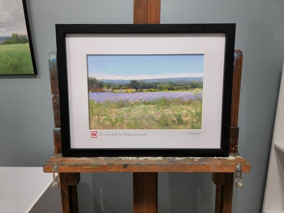 Lavender Fields and Brooms