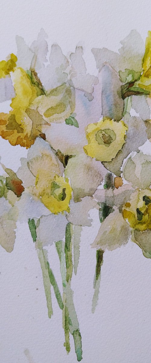 Yellow daffodil by Elena Klyan