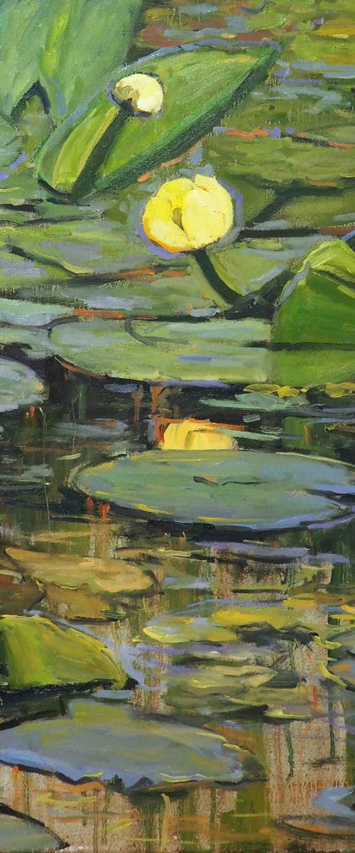 Water Lilies by Yuanyuan Liu