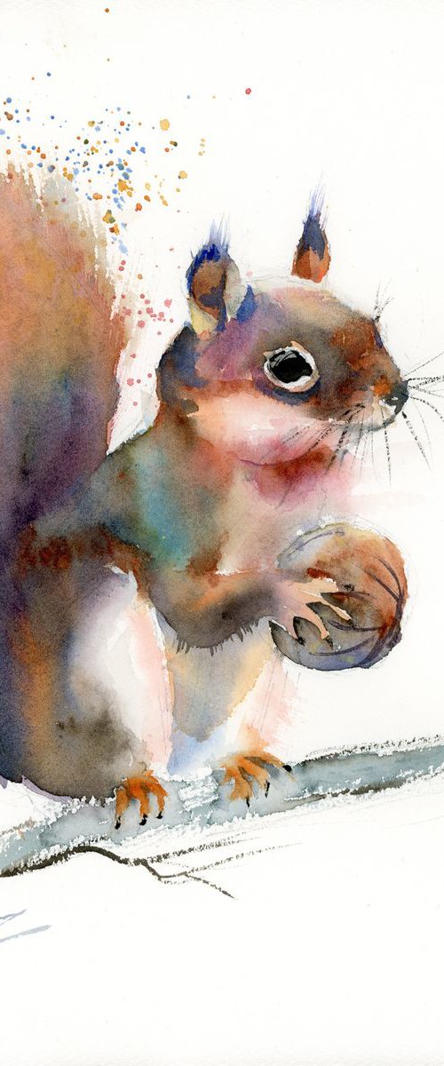 Squirrel by Olga Tchefranov (Shefranov)