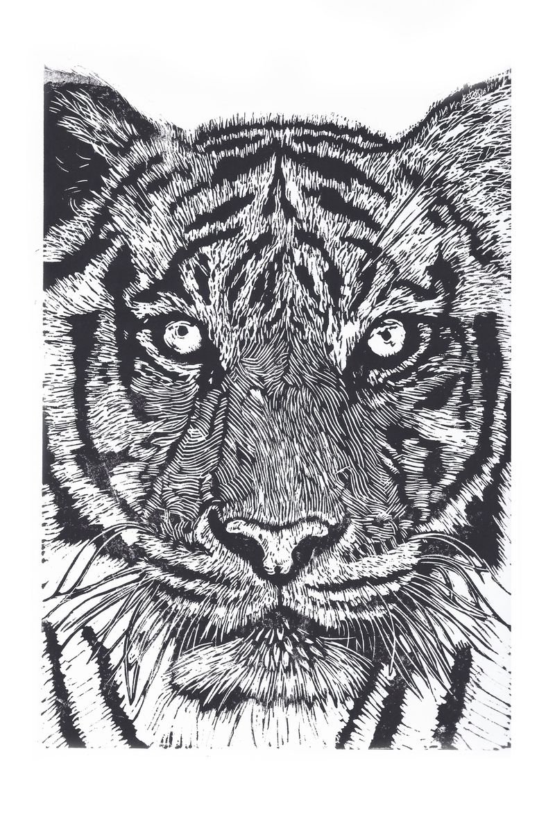TigerTiger by Steve Bennett