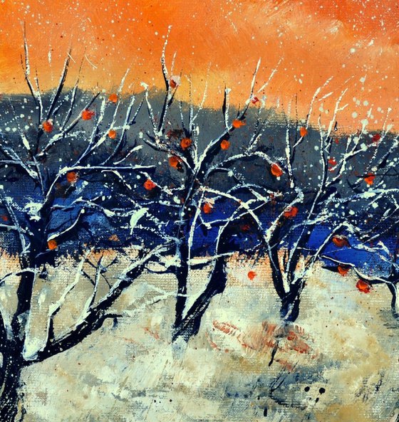 apple trees in winter