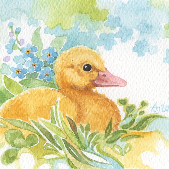 Spring is coming - Duckling