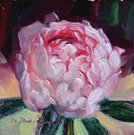 Small oil painting original framed art Pink peony flower 4x4 in frame