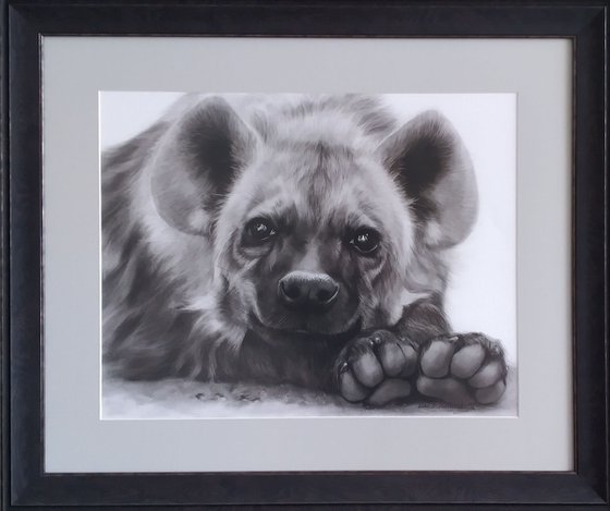 Adorable Hyena